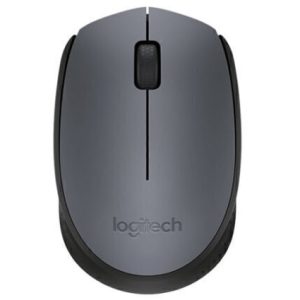 Mouse Logitech M170